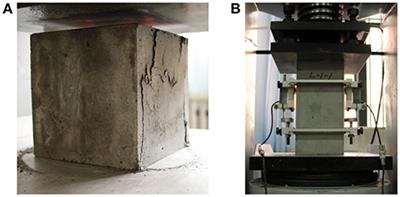 Experimental Investigation on Compressive Toughness of the PVA-Steel Hybrid Fiber Reinforced Cementitious Composites